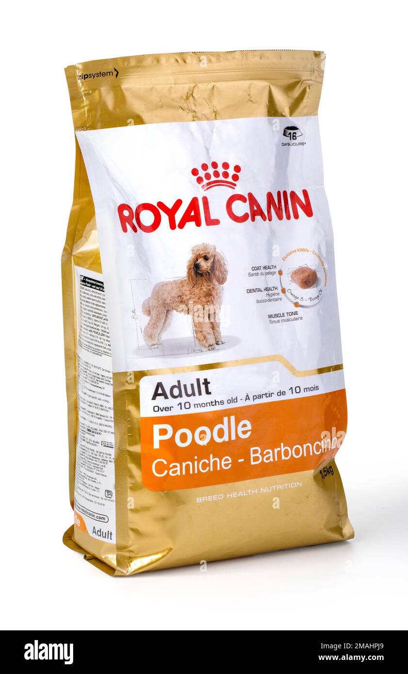 CHISINAU, MOLDAVIA-14 novembre 2015: 2kg confezione di cibo per cani adulti Royal Canin su uno sfondo bianco. Con percorso di ritaglio Foto Stock