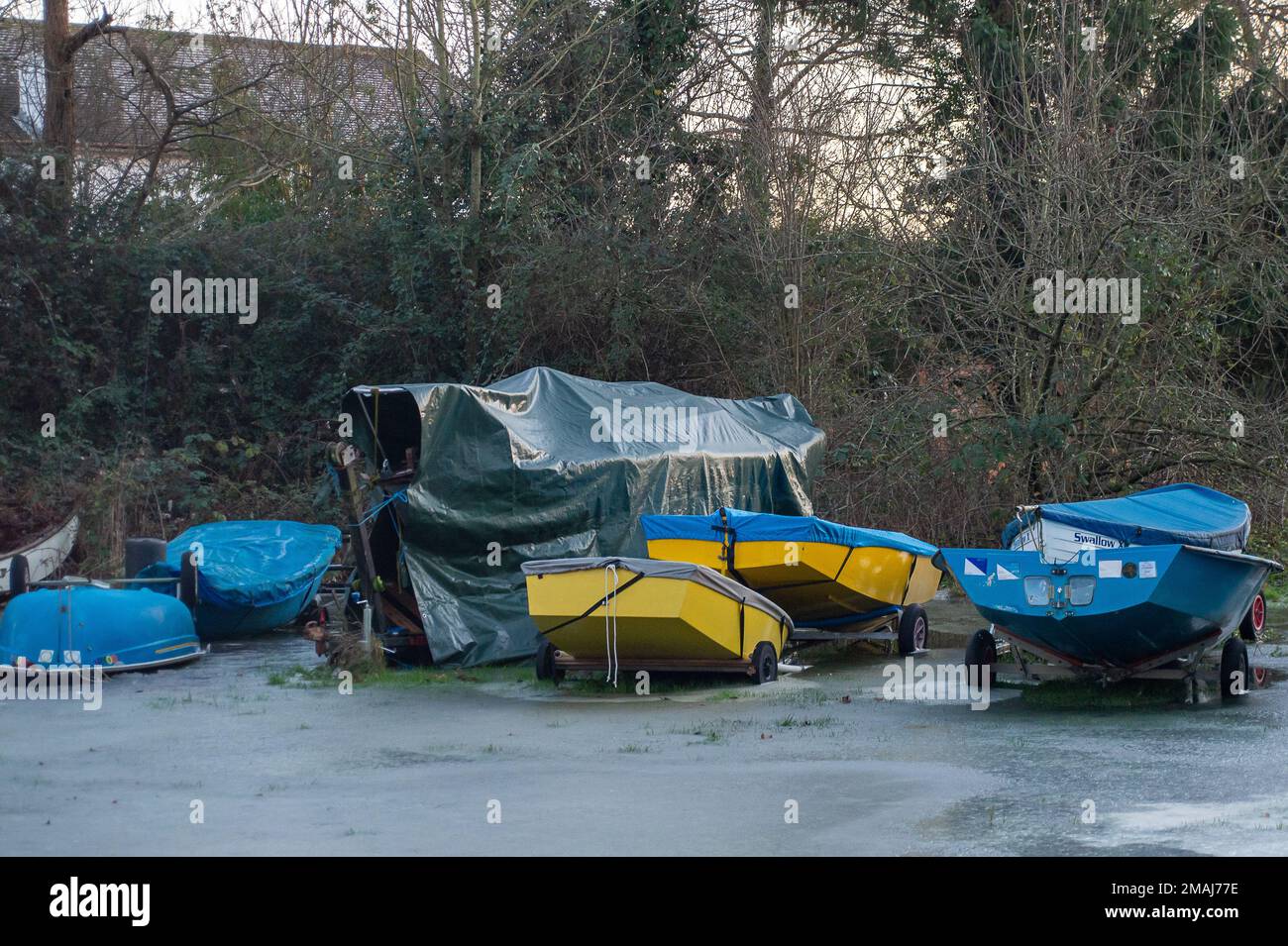 Wargrave, Berkshire, Regno Unito. 19th gennaio 2023. I campi intorno all'Henley Sailing Club di Wargrave sono allagati e l'acqua si è congelata. Si prevede che le temperature di congelamento continueranno fino alla prossima settimana. Credit: Maureen McLean/Alamy Live News Foto Stock