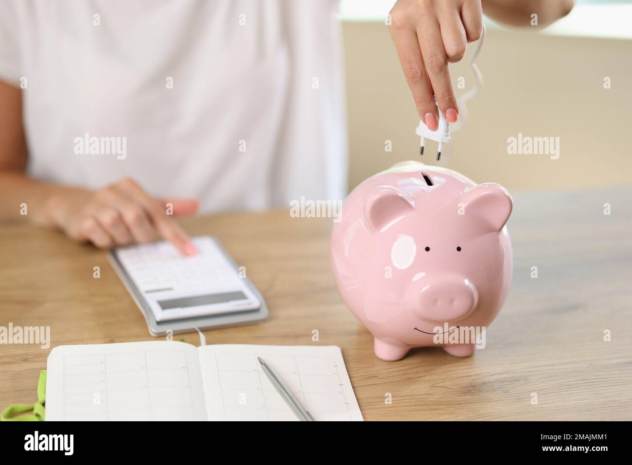 La donna collega la spina elettrica alla banca del piggy e contando i soldi sul calcolatore. Foto Stock