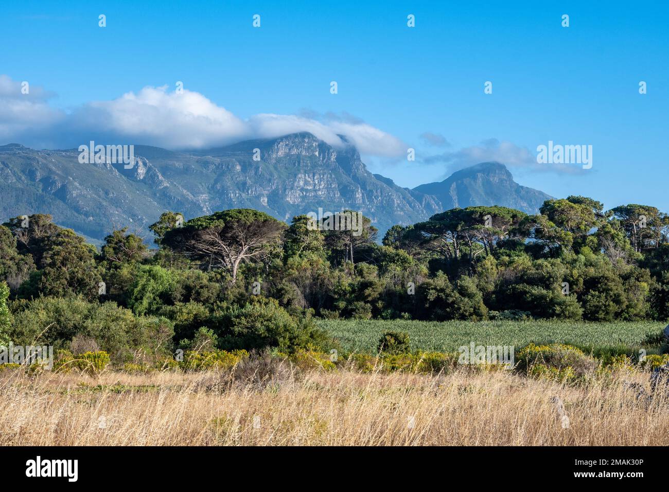 Table Mountain. Città del Capo. Sudafrica. Foto Stock