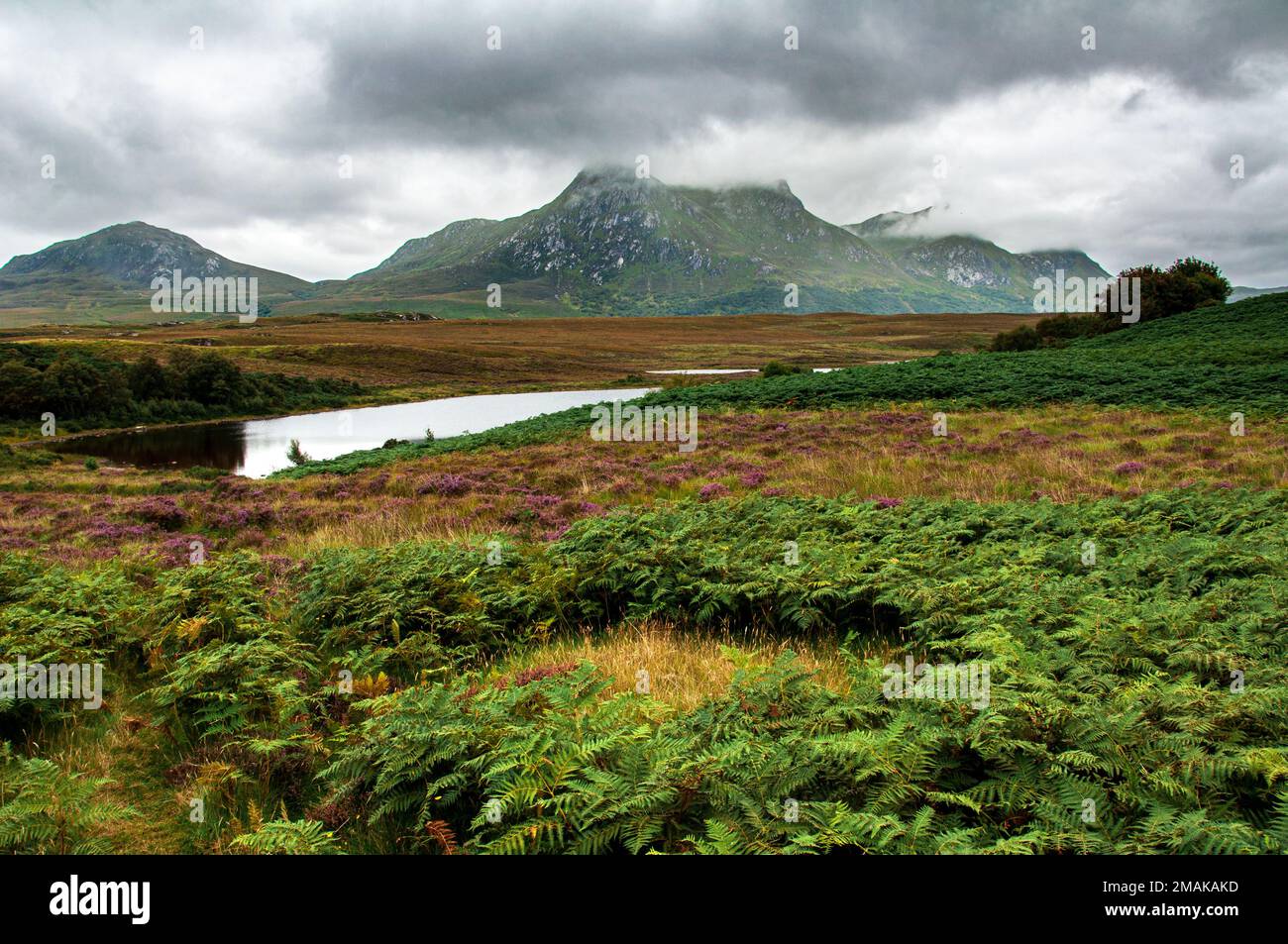 Guardando attraverso il Flow Country nel nord della Scozia, premiato con il Patrimonio Mondiale dell'Umanità nel luglio 2024, verso Ben Loyal. E' il più intatto ed estensivo Foto Stock