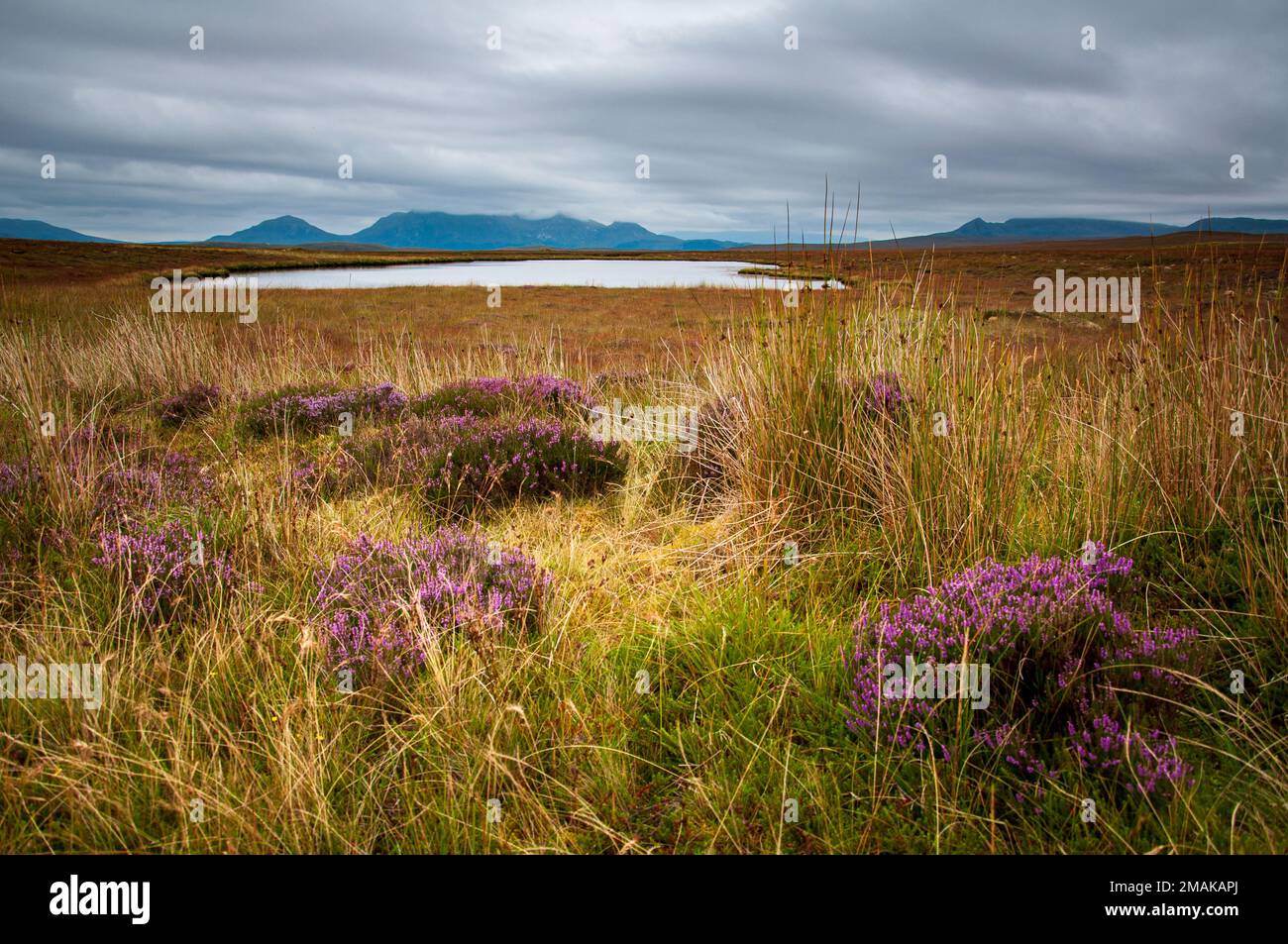 Guardando attraverso il Paese di flusso nel nord della Scozia verso ben Loyal. È il sistema di torbiere più intatto e più esteso al mondo. Foto Stock
