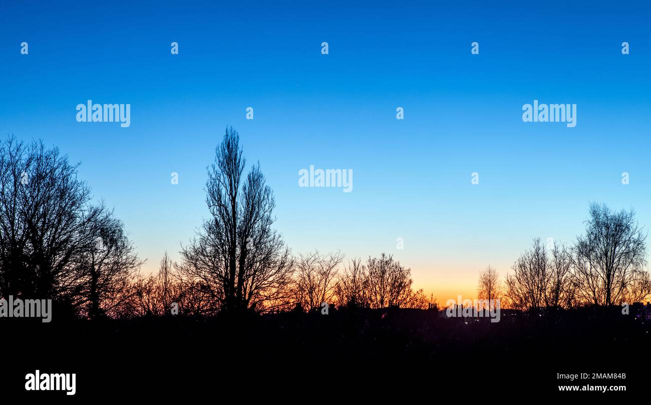 Night Sky su Parliament Hill Hampstead Londra UK Foto Stock