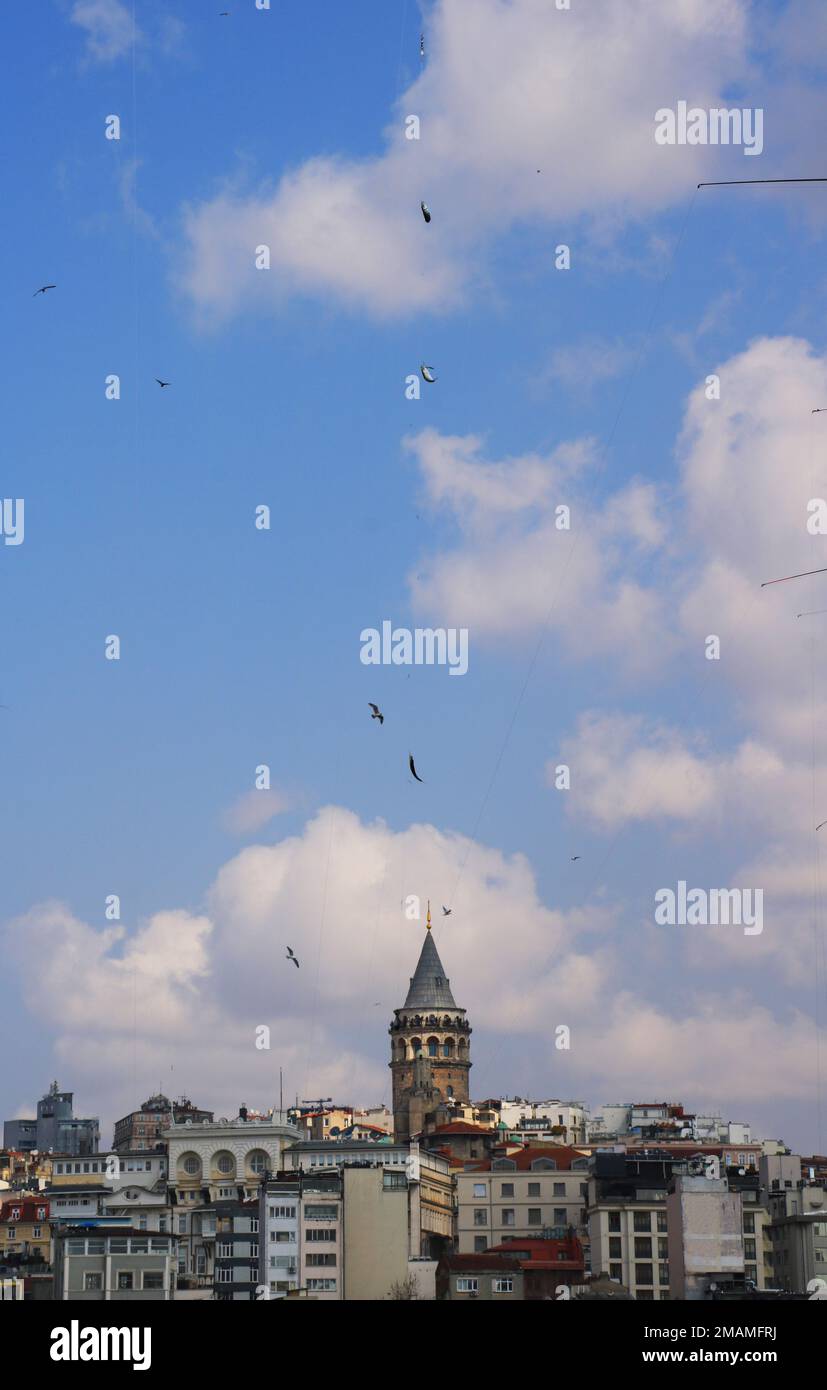 Pesci del Bosforo di fronte alla Torre Galata a Istanbul Foto Stock