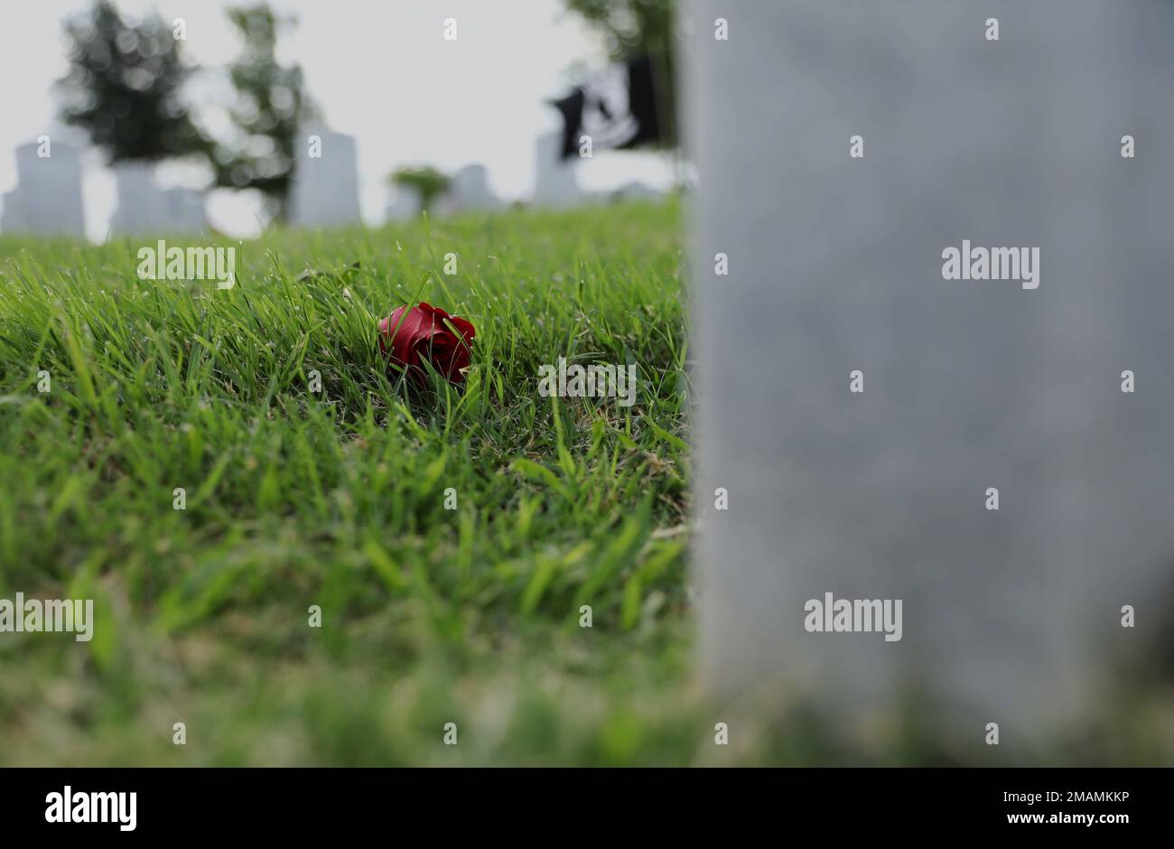 Le rose rosse vengono posate presso le lapidi dei soldati caduti per onorare i sacrifici dei militari statunitensi e delle loro famiglie il Memorial Day, 30 maggio 2022, presso il Central Texas state Veteran Cemetery, Killeen, Texas. Il Memorial Day è stato fondato nel 1971 come un modo per onorare coloro che hanno servito gli Stati Uniti e hanno pagato il prezzo finale. Foto Stock