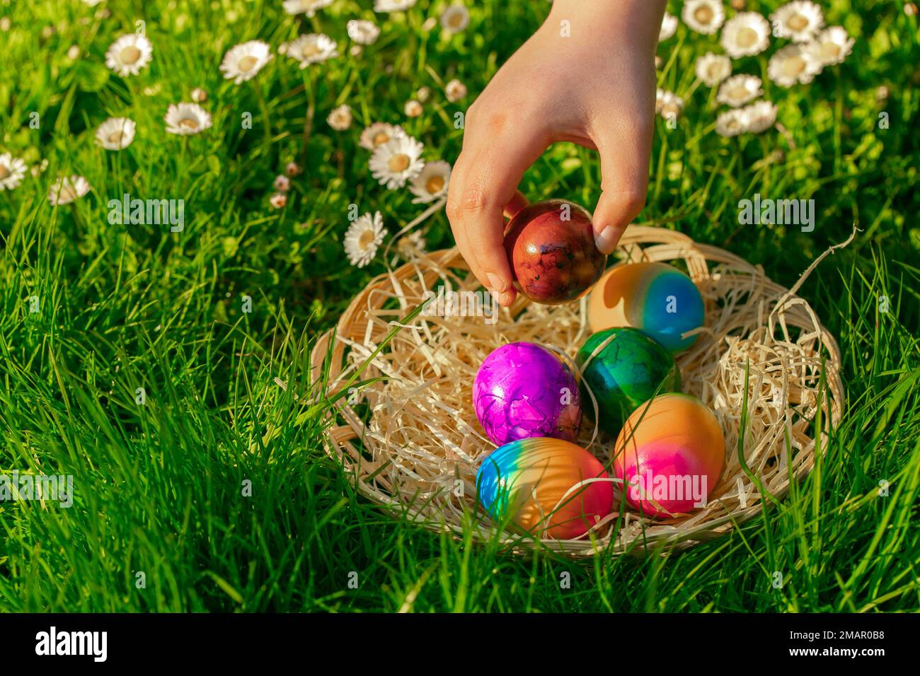 Pasqua vacanza Tradition.Easter Egg Hunt.child raccoglie uova colorate in un prato di primavera con daisies.Childs mano mette uova colorate in un basket.Spring Foto Stock