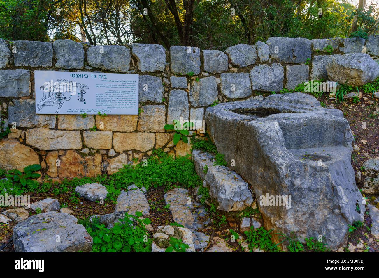 Goren, Israele - 18 gennaio 2023: Vista di una pressa ad olio di epoca bizantina, con un segno di spiegazione, nel sito archeologico di Khurvat (rovina) Daniela, GA superiore Foto Stock