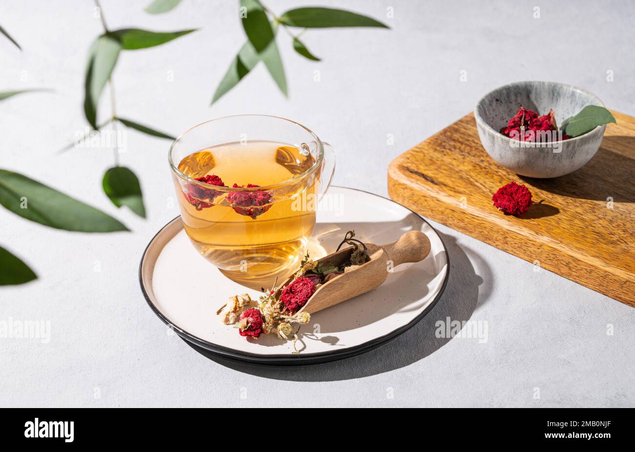 Tè alle erbe con fiori di melograno in una tazza di vetro su un piatto su uno sfondo bianco con rami di eucalipto. Il concetto di una bevanda salutare per la pausa Foto Stock