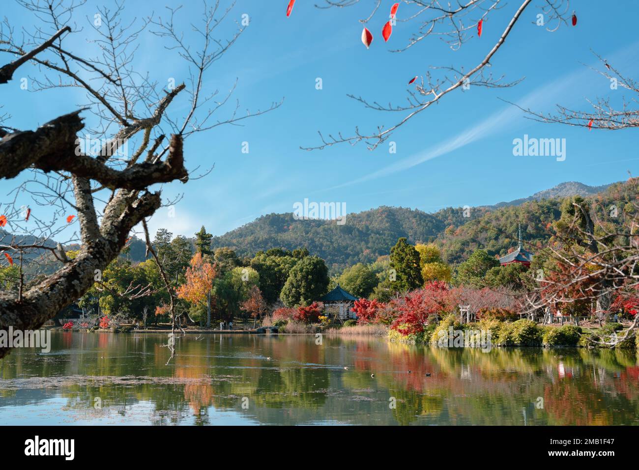 Tempio Daikaku-ji e Osawa Pond in autunno a Kyoto, Giappone Foto Stock
