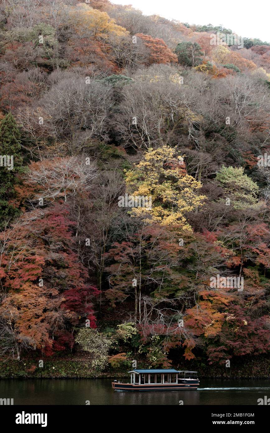 Arashiyama autunno foresta colorata e Katsura fiume a Kyoto, Giappone Foto Stock