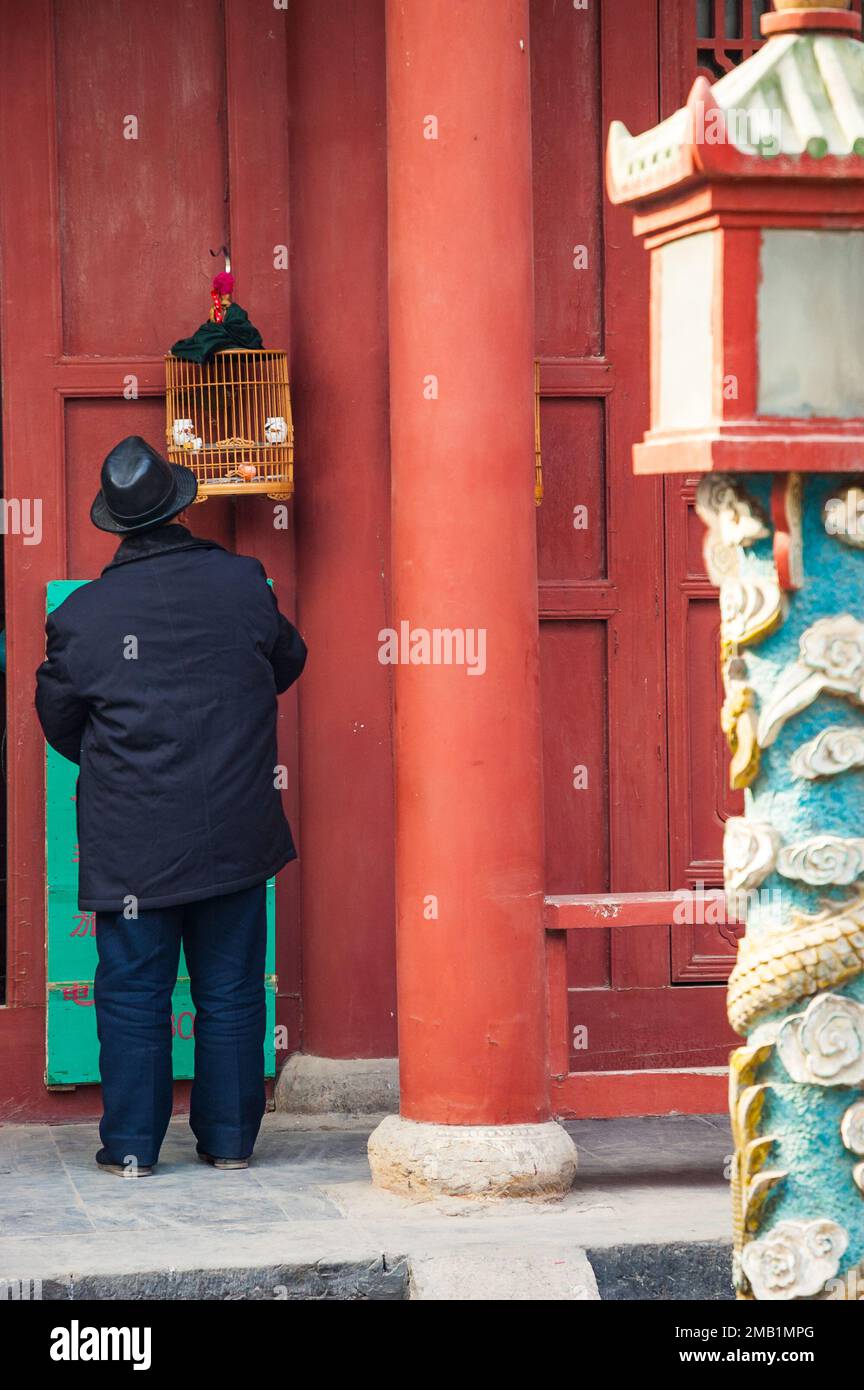 Il vecchio uomo che tende al suo pet bird al Shanshangan Guild Hall di Kaifeng. Kaifeng fu la capitale del nord della dinastia Song. Nella Provincia di Henan, Cina. Foto Stock