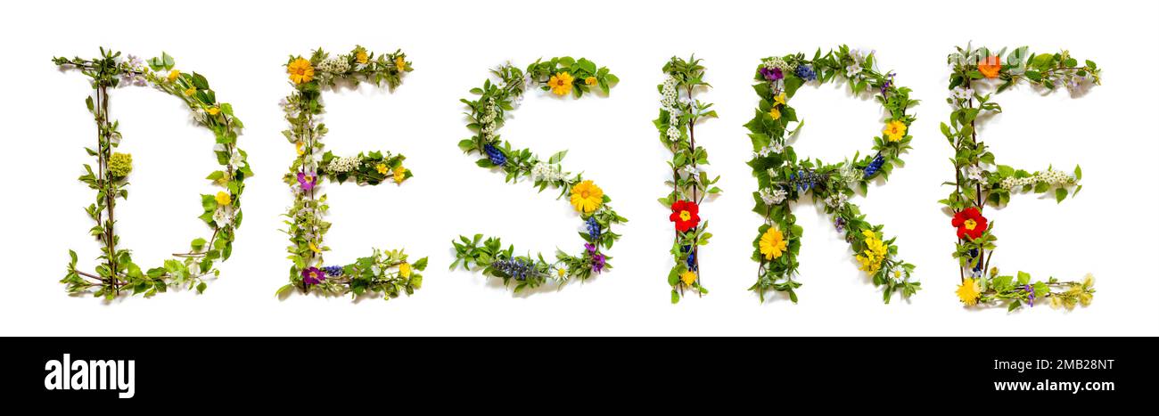 Fioritura lettere di fiore costruzione del desiderio inglese della parola Foto Stock