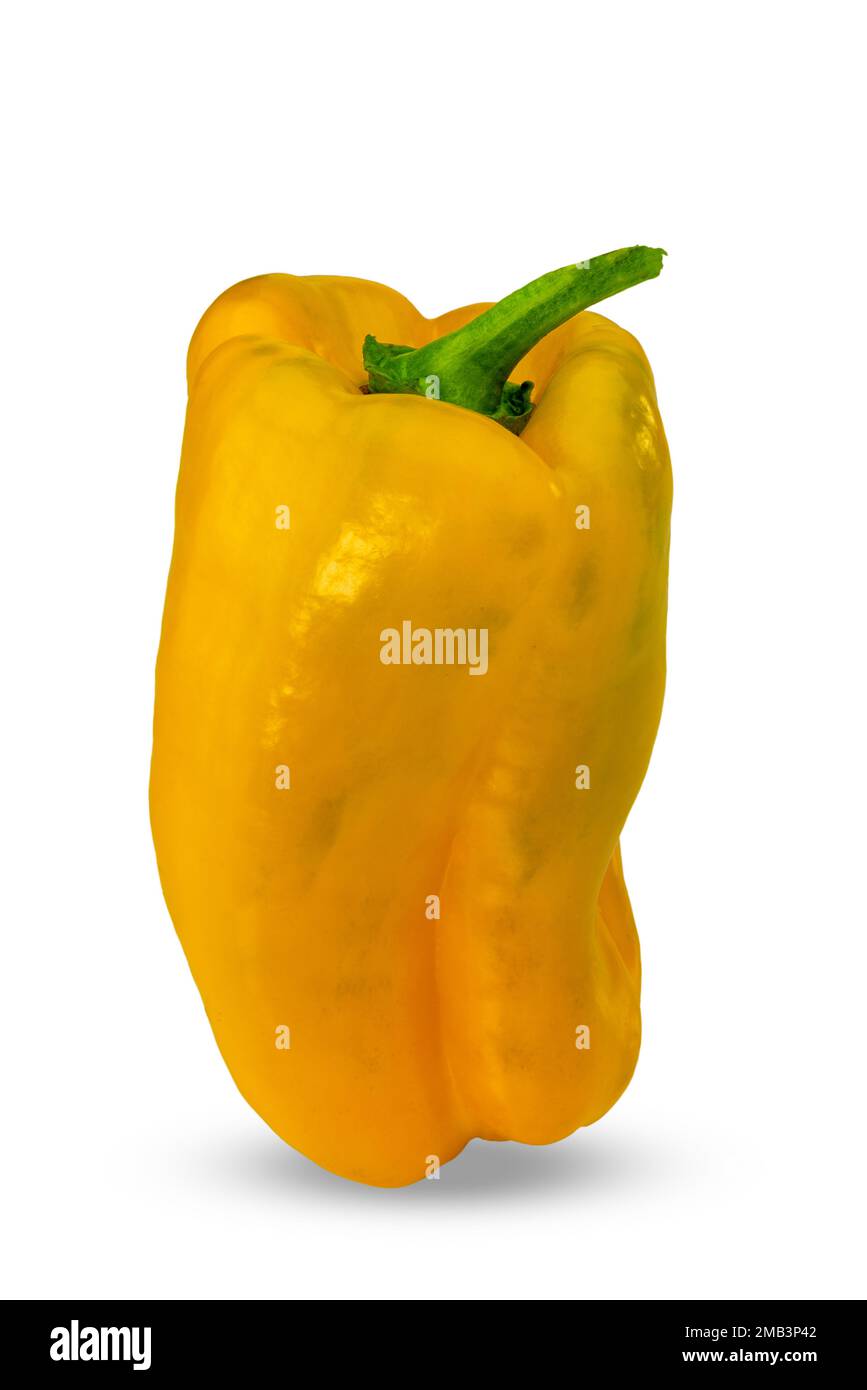 Peperone giallo isolato su bianco con percorso di ritaglio incluso Foto Stock