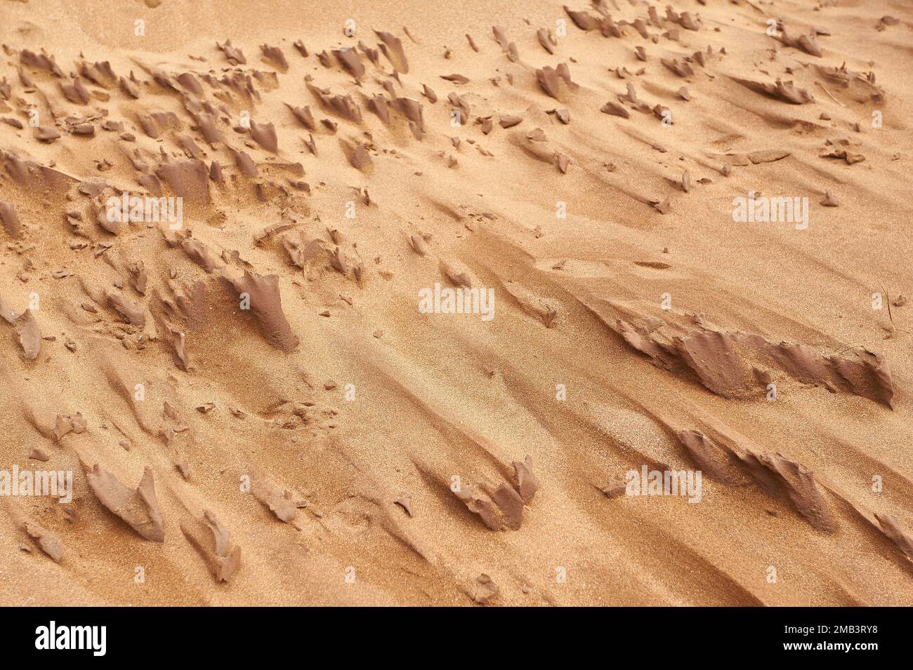 Particolare della sabbia delle dune che formano strutture irregolari Foto Stock