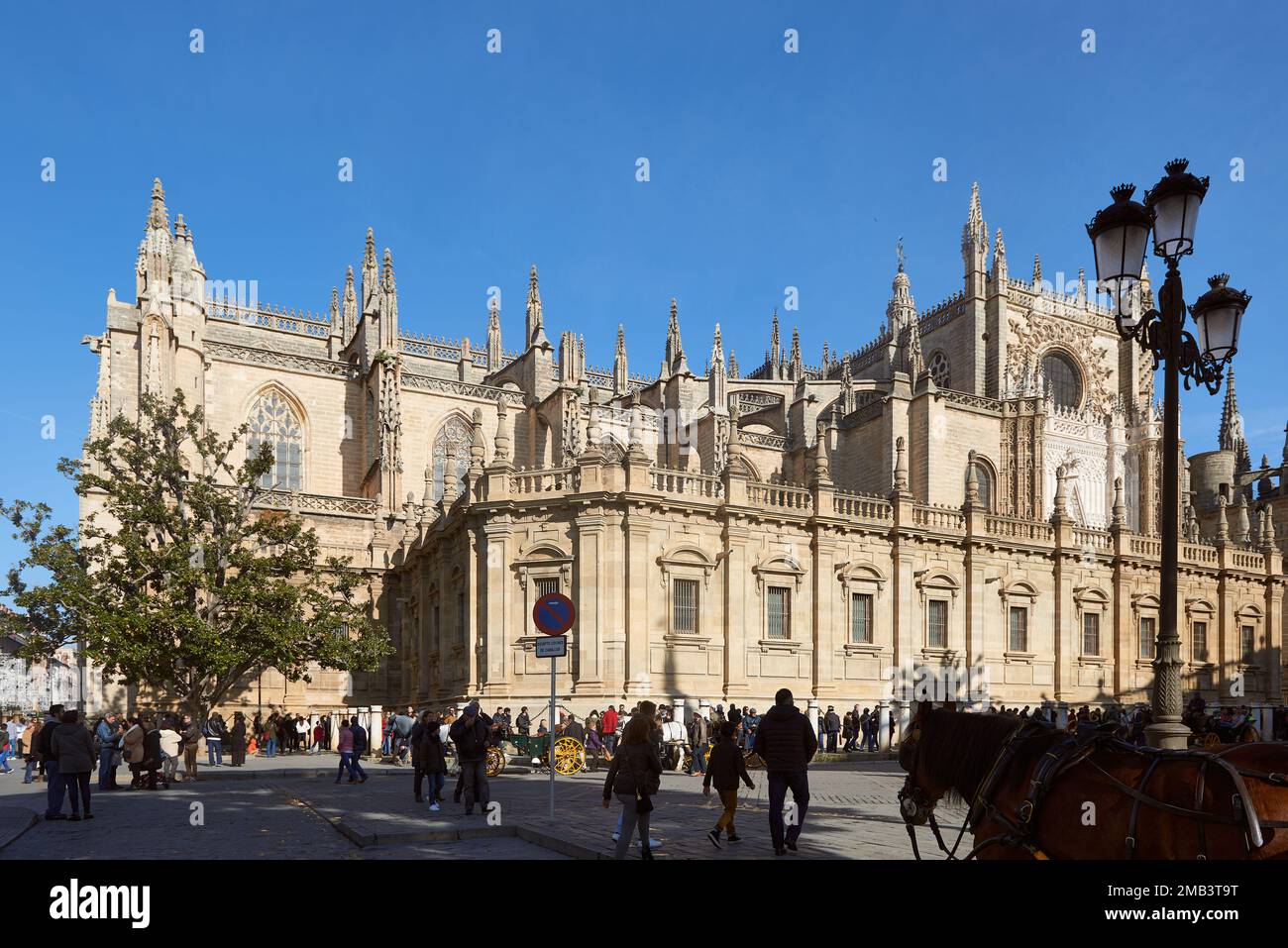Castello di Siviglia e La Giralda, Sito Patrimonio Mondiale dell'UNESCO, Siviglia, Andalusia, Spagna, Europa. Foto Stock