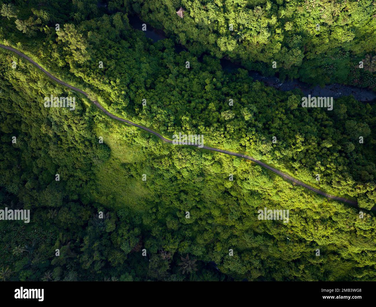 Vista aerea del sentiero dell'artista a Ubud, Bali. Foto Stock