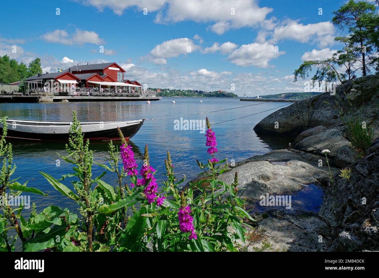 Piccola isola, barche, costa rocciosa e fiori, idil, destinazione, Fjaedarholma, Stoccolma, Svezia Foto Stock