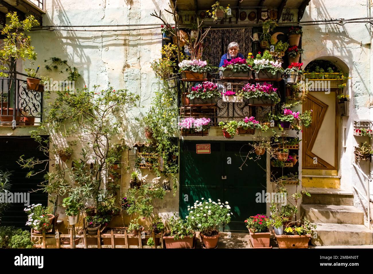 Un uomo guarda dal balcone di una casa nelle strade di Plaerm, piena di verde e fiori colorati. Foto Stock
