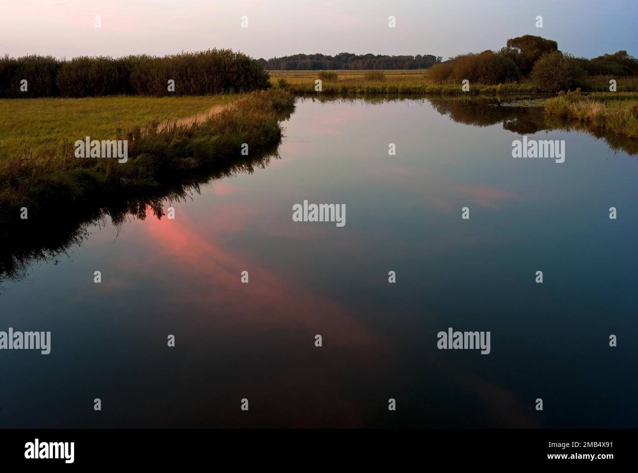 Atmosfera serale nella riserva naturale Breites Wasser, quartiere di Osterholz, Germania Foto Stock