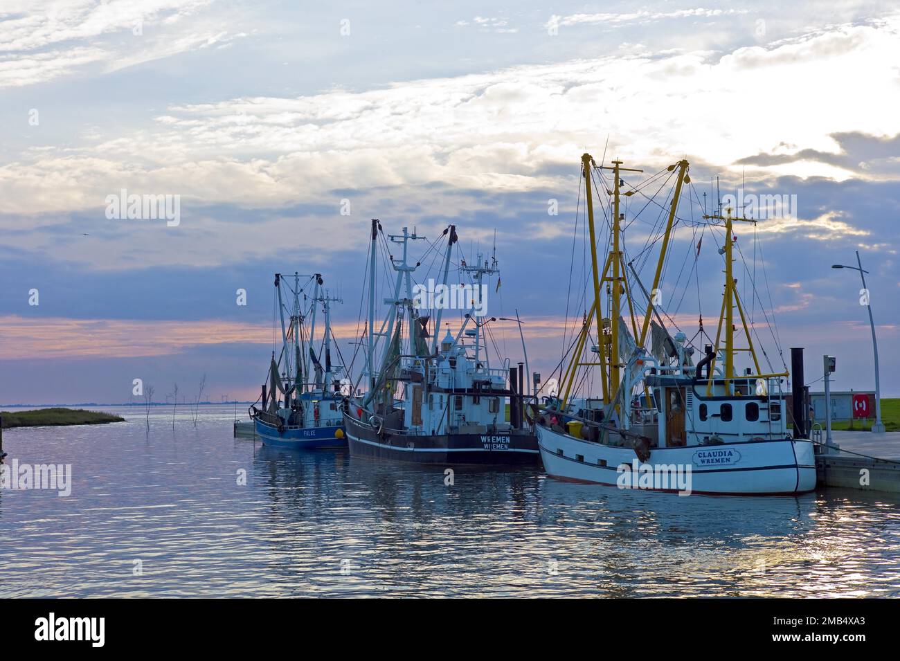 Wremertief nel distretto di Cuxhaven granchio taglierina nel porto Germania Europa Foto Stock