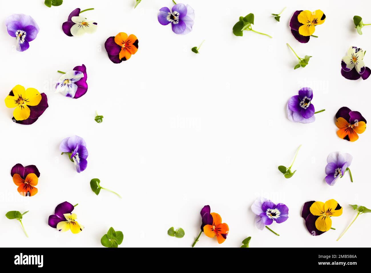 Composizione floreale primaverile o estiva con pani commestibili e micro verdi su sfondo bianco. Giacitura piatta, spazio di copia. Concetto di vita sana. Foto Stock