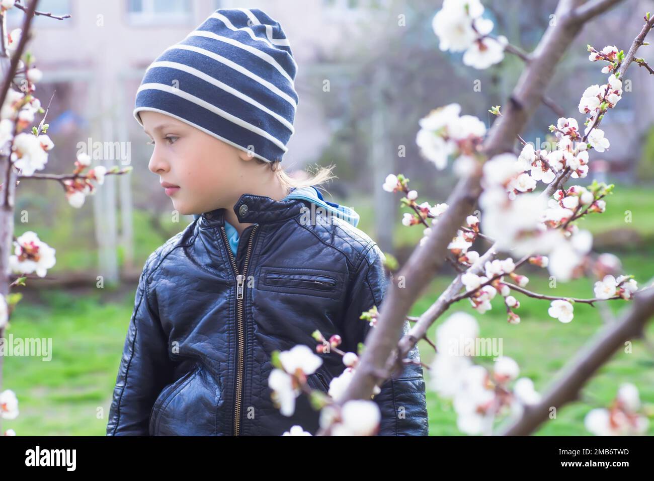 Ritratto di un ragazzino tra i fiori di ciliegio in primavera. Un bambino in una passeggiata si nasconde dietro un cespuglio. Nascondere e cercare in natura. Foto Stock