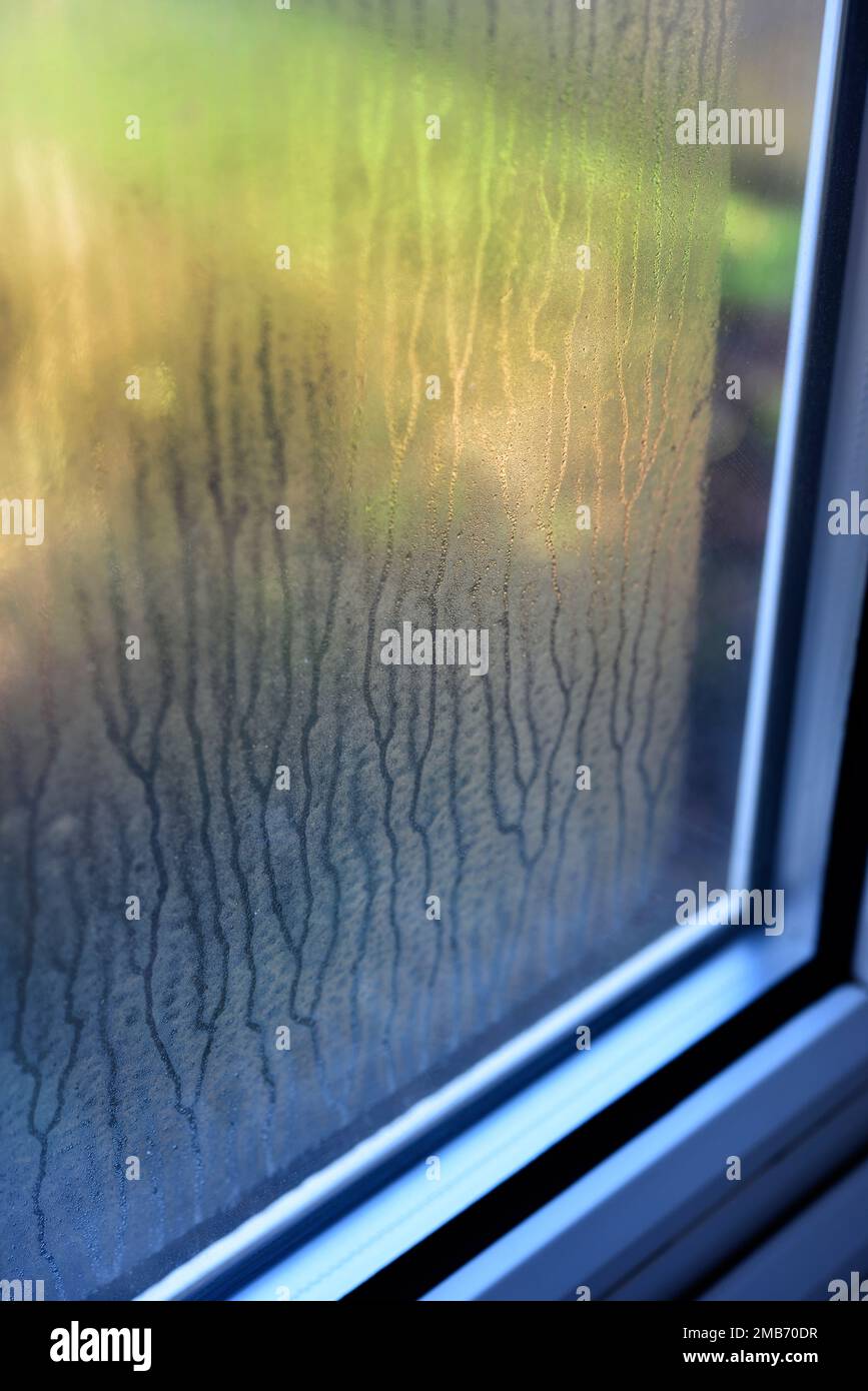 Condensa sulla finestra a doppio vetro Foto Stock