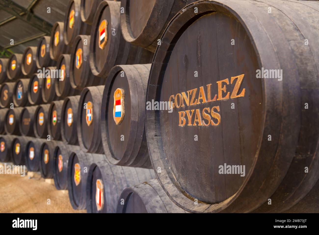 Barili di sherry immagazzinati in una cantina scura e fredda di Bodegas Gonzalez Byass, Jerez de la Frontera, Spagna. Foto Stock