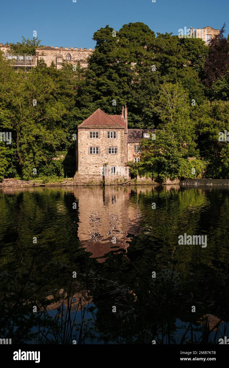 Durham Inghilterra: 2022-06-07: L'Old Fulling Mill on the River Wear nella città di Durham vicino alla cattedrale. Vista dal parco pubblico Foto Stock