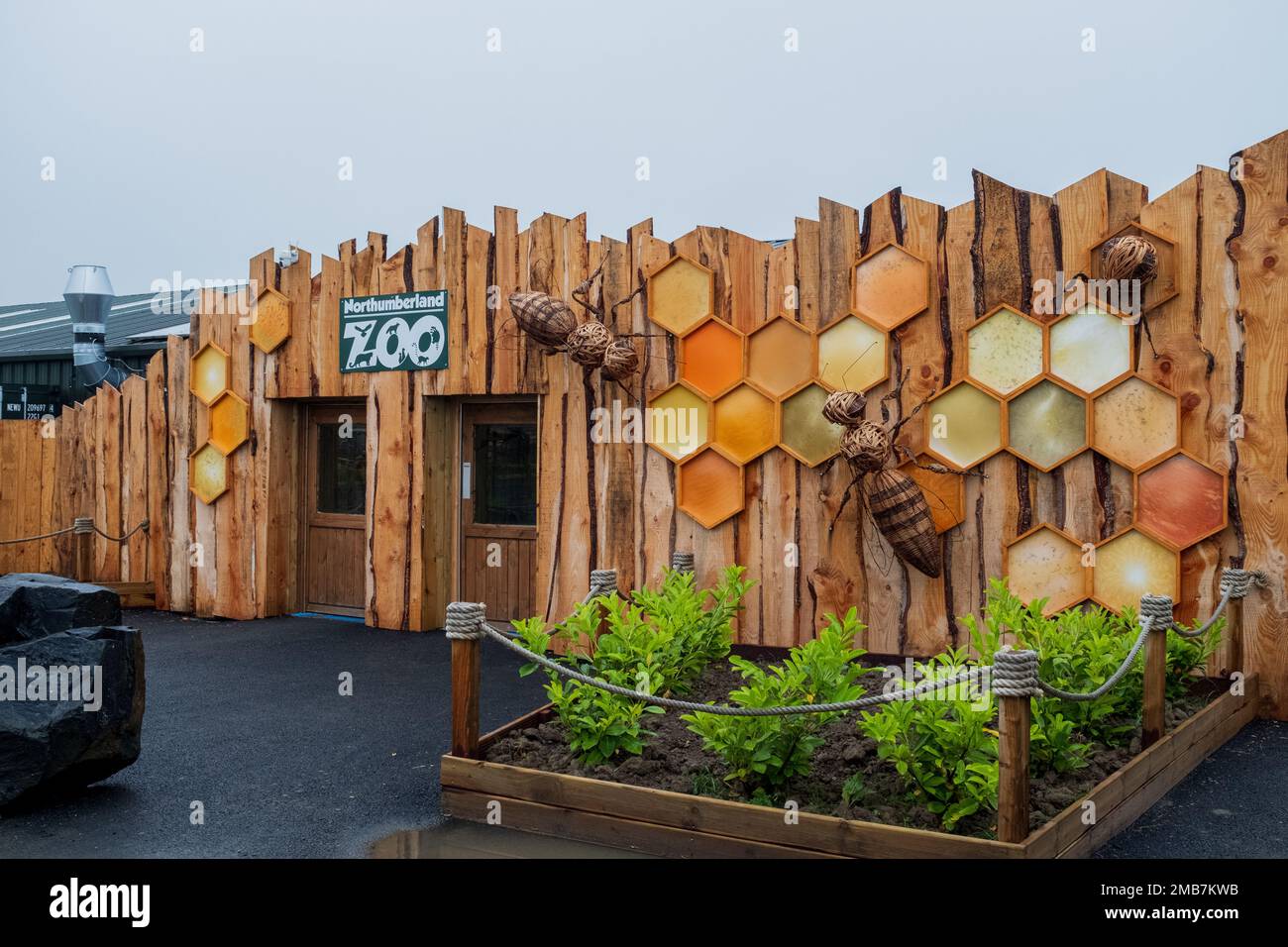 Northumberland Regno Unito: 6th giugno 2022: Zoo di Northumberland Foto Stock