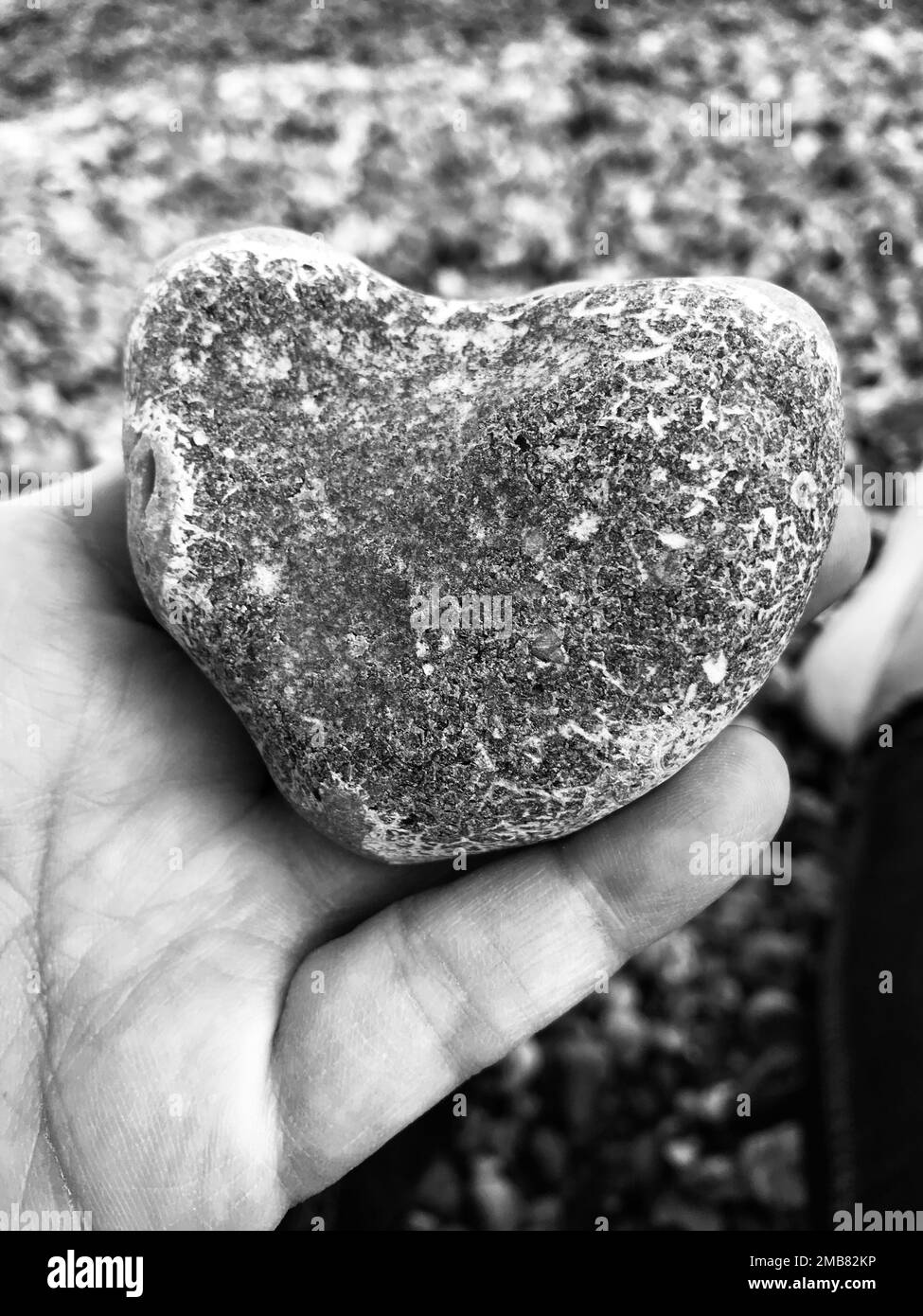 Scala di grigi verticale di una mano che tiene una roccia a forma di cuore Foto Stock