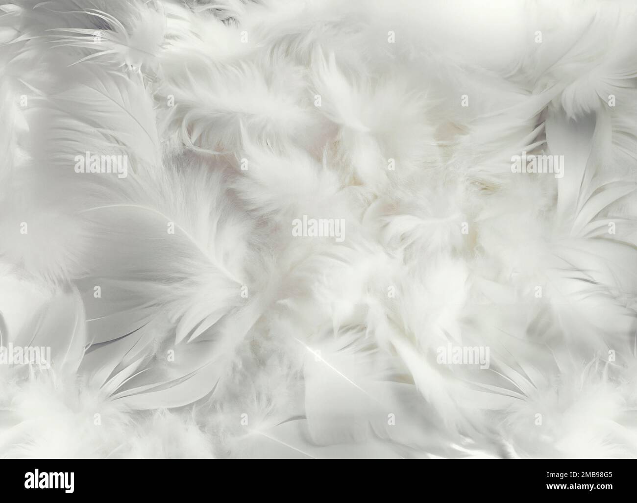 Sfondo astratto di soffici piume bianche di varie dimensioni raccolte in cumulo Foto Stock