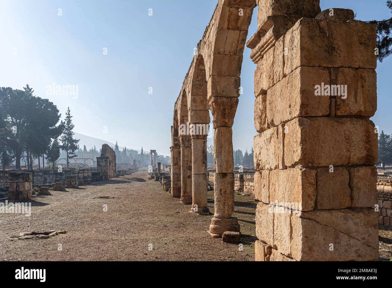 Anjar, la città di Umayyyad nel cuore del Libano Foto Stock