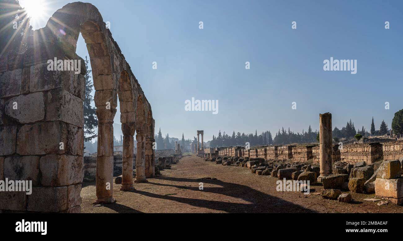 Le rovine romane di Anjar, Libano Foto Stock