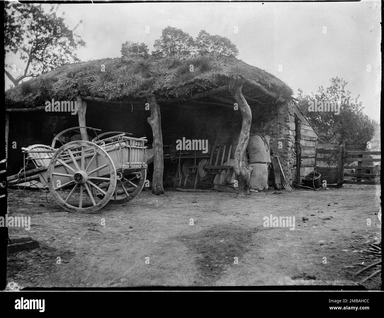 Cheddar, Sedgemoor, Somerset, 1907. Una vista di un piccolo cortile di fattoria a Cheddar, mostrando un carrello di legno parcheggiato all'esterno di un capannone a vista con un tetto di paglia sostenuto da tronchi o rami di albero. Foto Stock