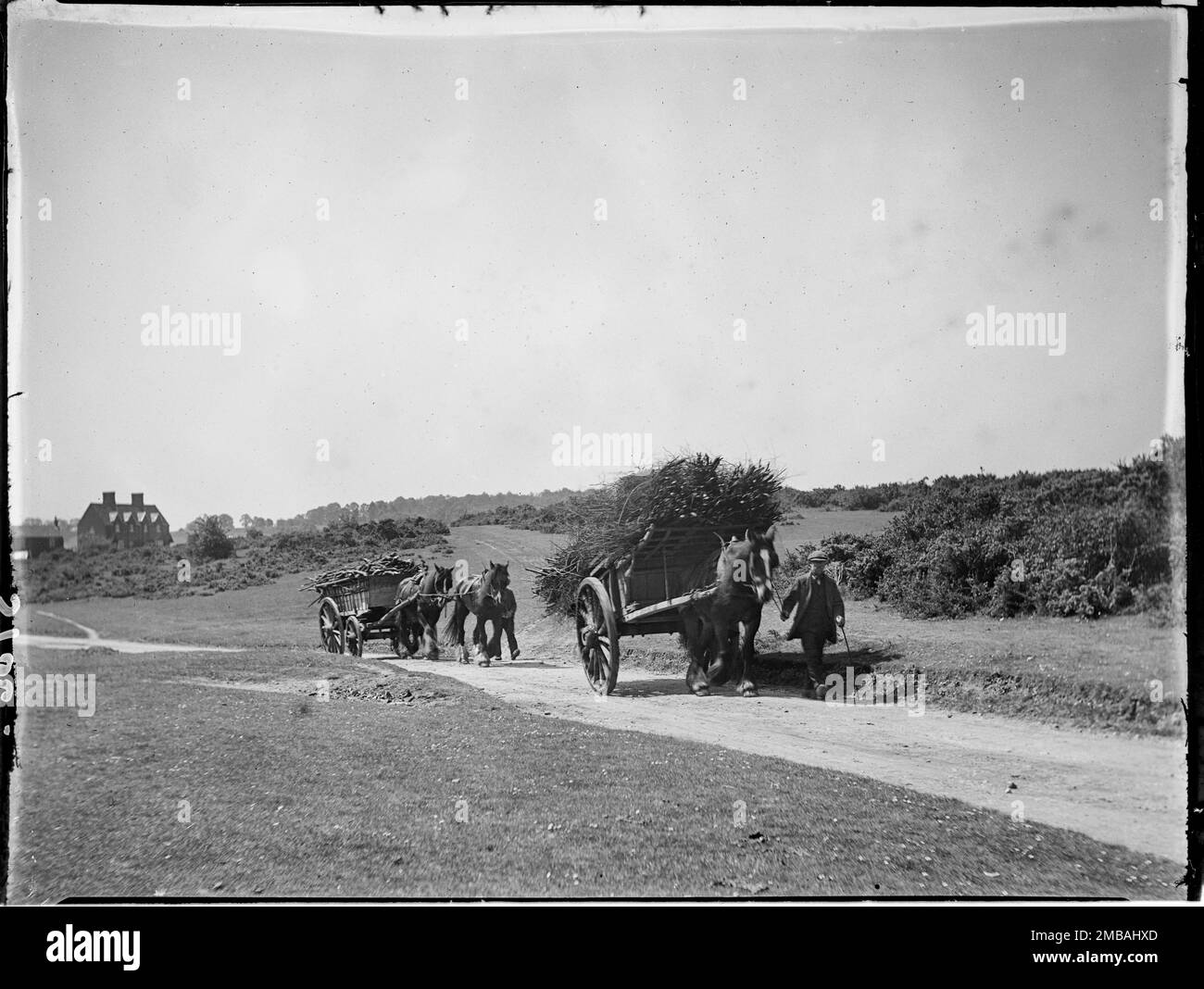 Chorleywood Common, Chorleywood, Three Rivers, Hertfordshire, 1915. Due carri trainati da cavalli che trasportano legno attraversando Chorleywood Common. Foto Stock