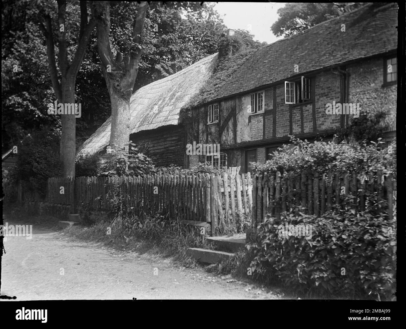 Upper Icknield Way, Whiteleaf, Princes Risborough, Wycombe, Buckinghamshire, 1918. La parte anteriore di una fila di tre cottage con un fienile staglato, con tetto in paglia attaccato all'estremità nord I cottage mostrati nella foto sono da sinistra a destra Felix Cottage, Box Tree Cottage e l'altro Cottage (solo una parte di questo è visibile). Il fienile è stato demolito e Library Cottage è stato costruito sul sito. Foto Stock