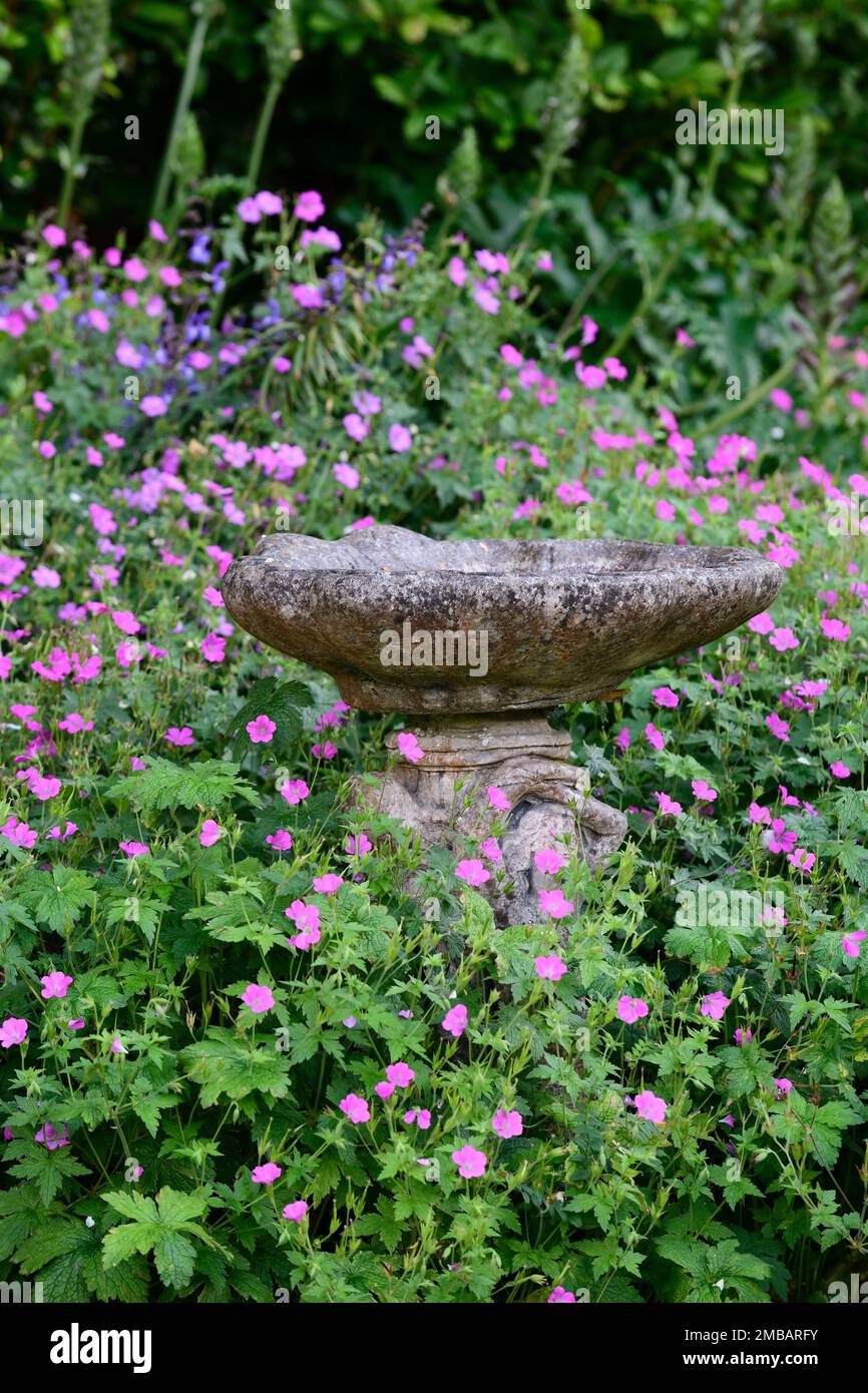 Bagno Per Uccelli 2 In 1 Con Ciotola E Mangiatoia - Supporto Da Giardino, Facile Da Installare, Per Uccelli Selvatici - 3