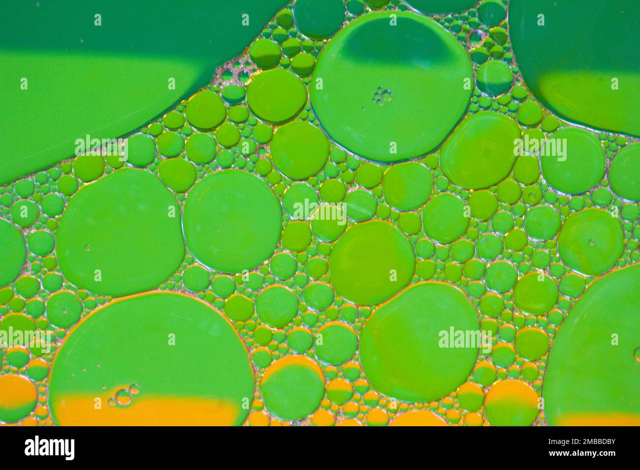 Bolle liquide , macro bolle in vari colori, sfondi astratti, olio bellezza e scienza concetto sfondo Foto Stock