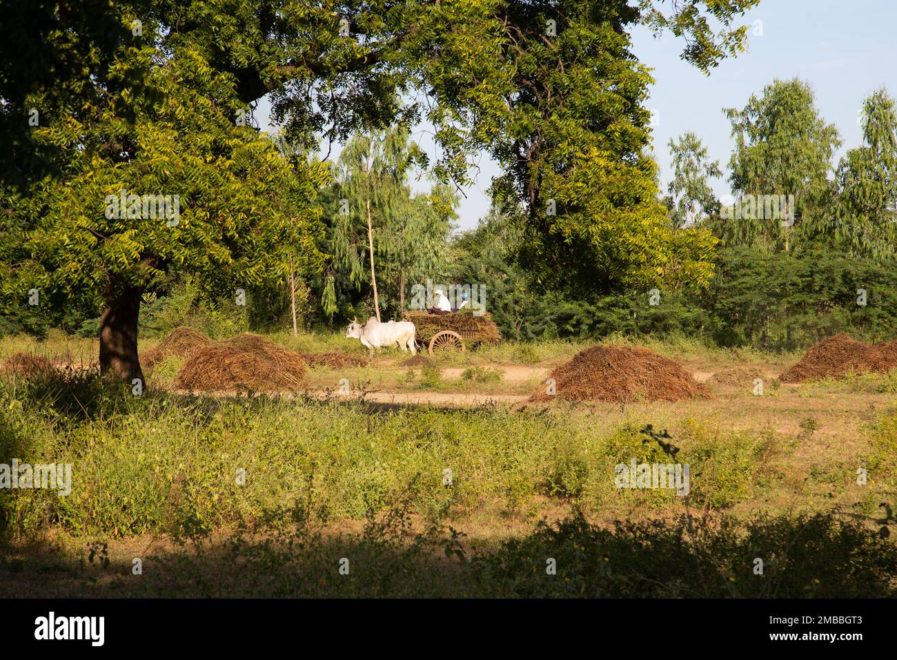 Myanmar Foto Stock