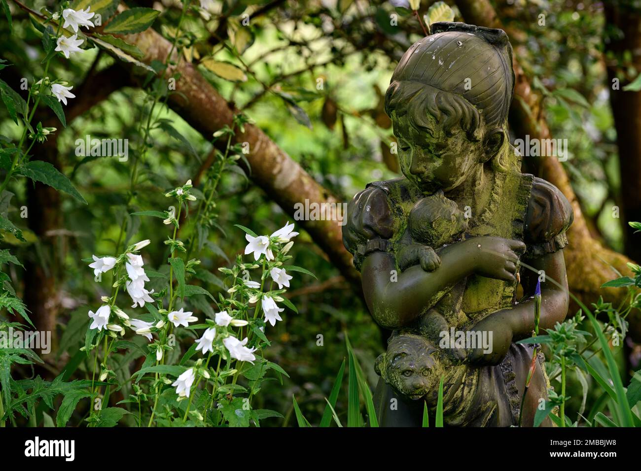 Statua di un bambino in un giardino, giardino, giardino boschivo, ombra, ombreggiato, caratteristica giardino, statua ragazza, figurina bambino, RM Floral Foto Stock