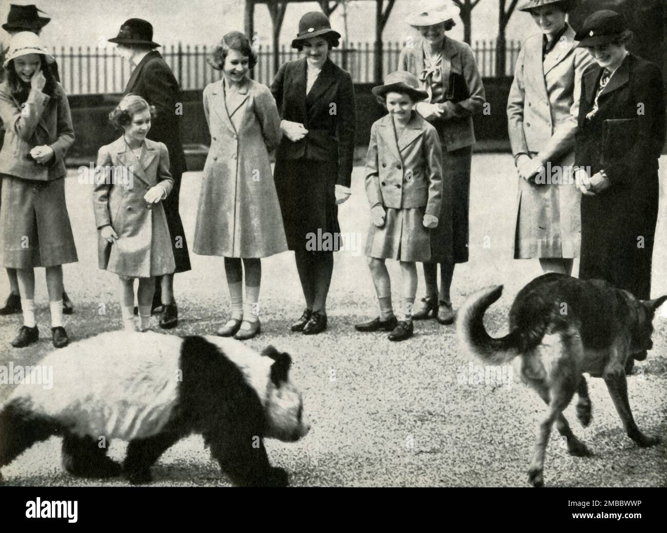 'Allo Zoo di Londra - guardare le antiche di un panda bambino', 1939, (1947). La futura regina Elisabetta II e sua sorella principessa Margherita con gli animali. Da "Principessa Elisabetta: La storia illustrata di ventuno anni nella vita dell'erede presuntivo", di Dermot Morrah. [Odhams Press Limited, Londra, 1947] Foto Stock