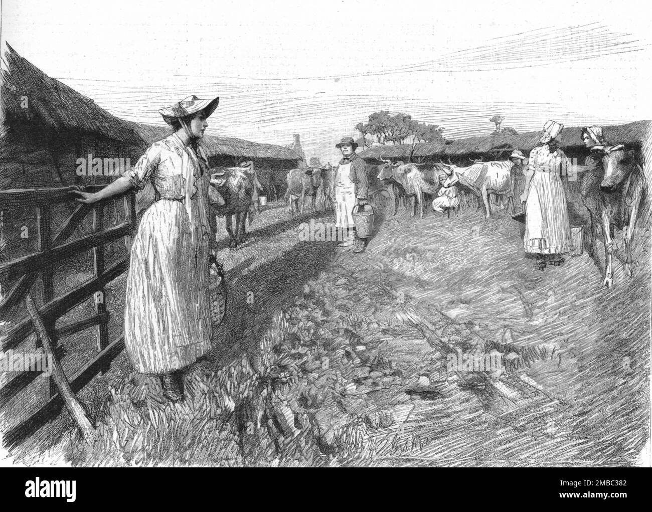 ''Tess of the D'Urbervilles", di Thomas Hardy; "Tess in dairyman Dick's yard "', 1891. Da "The Graphic. Un quotidiano settimanale illustrato", Volume 44. Da luglio a dicembre 1891. Foto Stock
