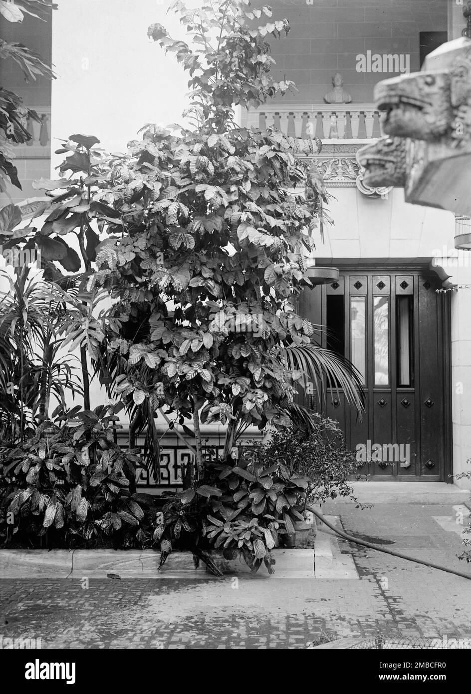 Pan American Union - angolo di patio, 1916. Foto Stock