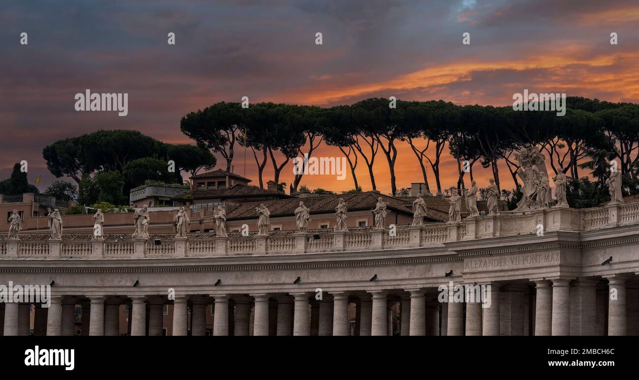 Tramonto sugli alberi di pino ombrello nella Città del Vaticano, Roma, Italia. Foto Stock