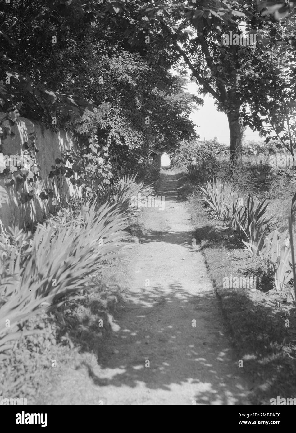 Cosgrave Grounds, non prima del 1917. Foto Stock