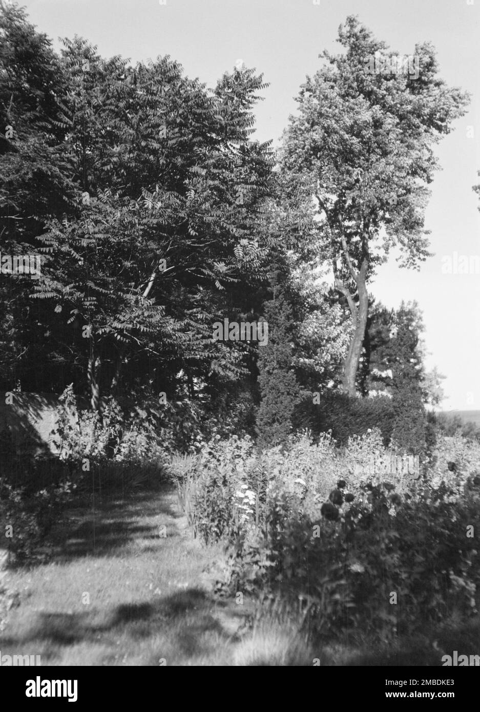 Cosgrave Grounds, non prima del 1917. Foto Stock