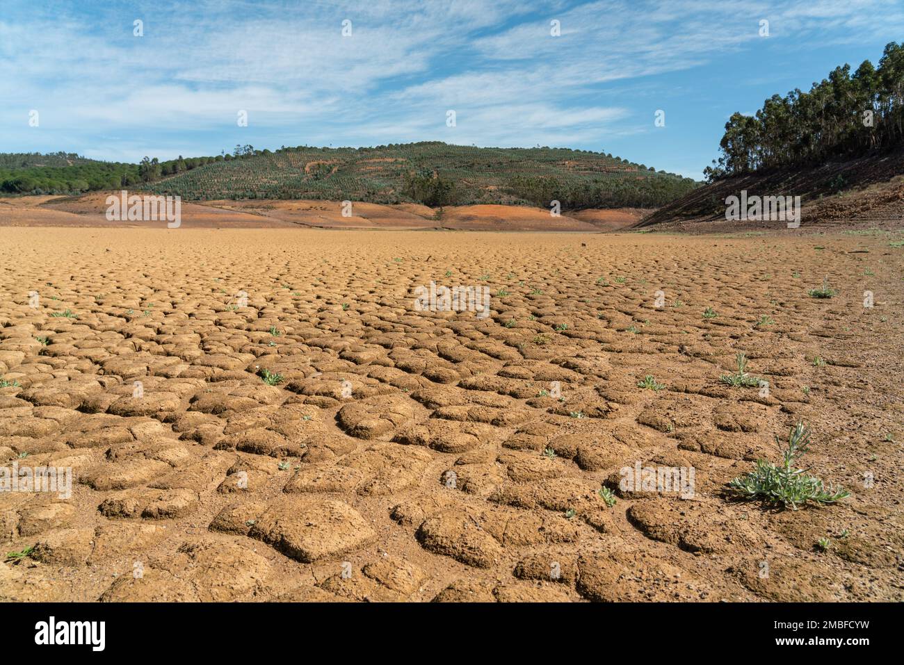 Deserto canali aridi di laghi e fiumi durante il periodo estivo di siccità, concetto di riscaldamento globale e disidratazione di acqua dolce. Foto Stock