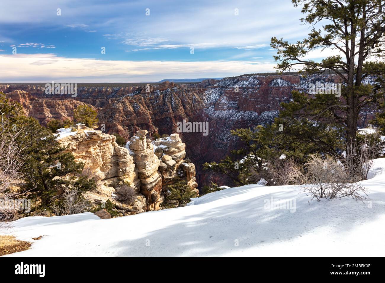 Vista sul Grand Canyon dopo una recente tempesta di neve. Neve bianca fresca stratificata in primo piano; Hoodoos e parete del canyon spolverato bianco sullo sfondo. Foto Stock