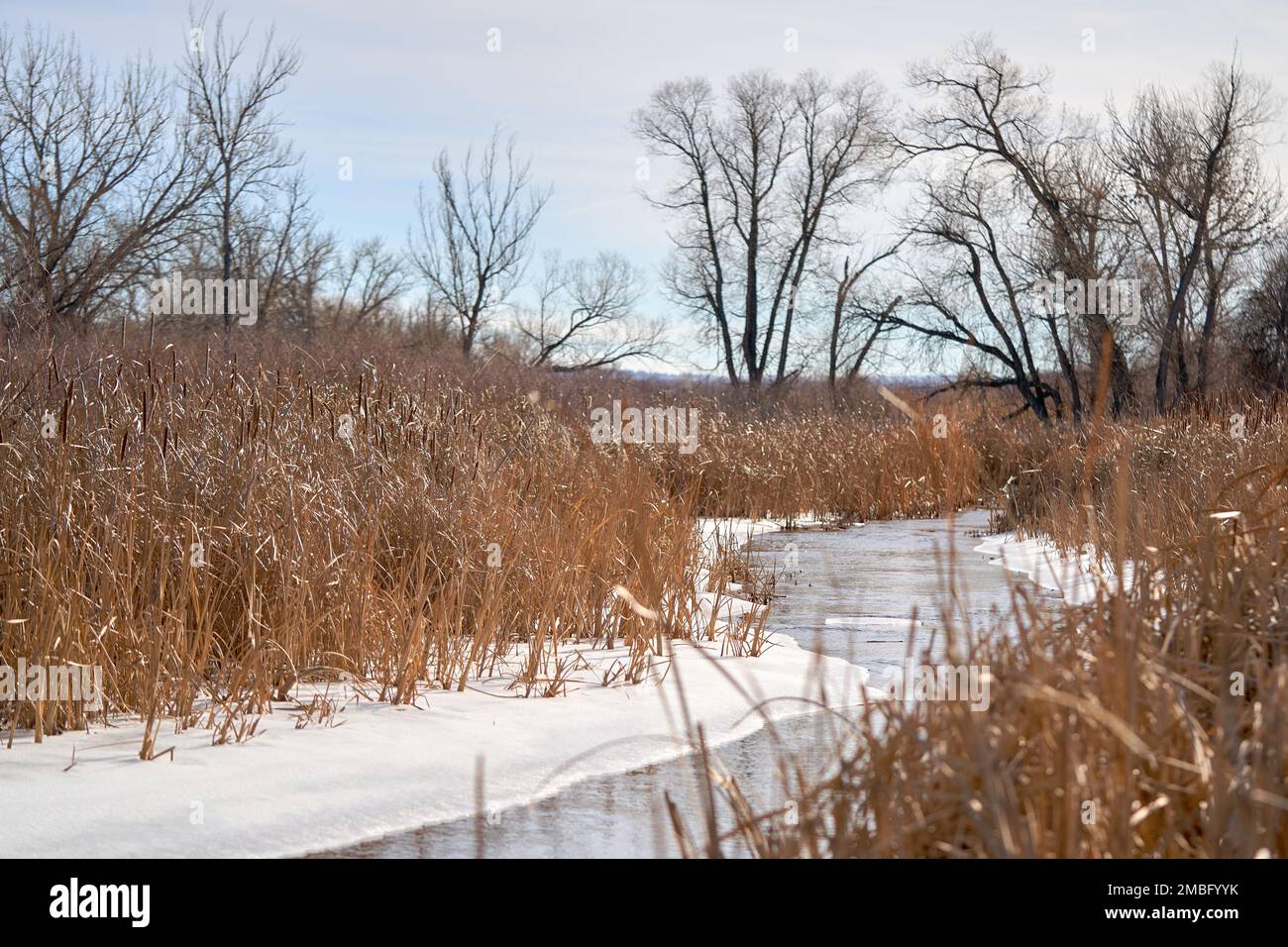 Foto desktop - Snowy River Bend, Colorado Foto Stock